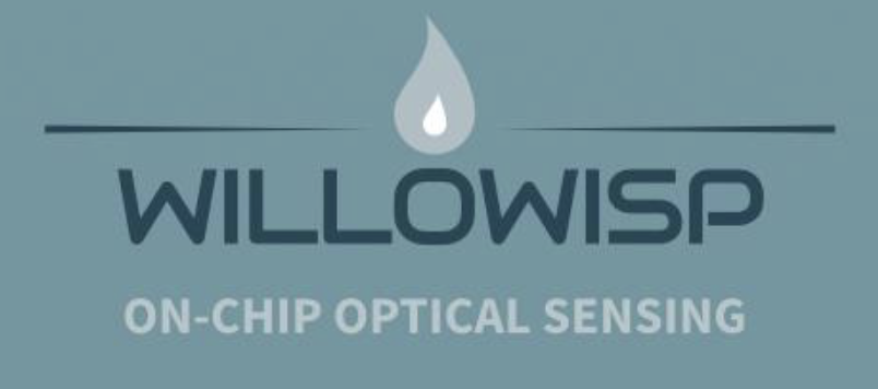Willowisp Logo